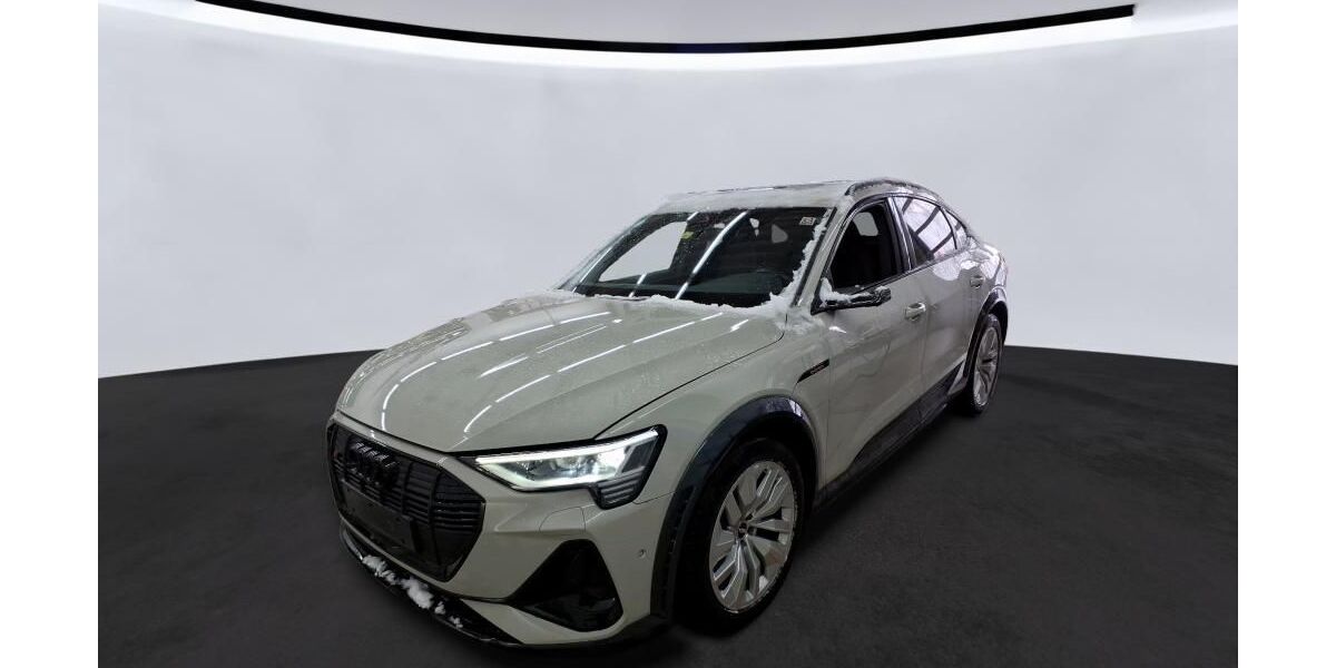 Audi e-tron 68.948 km 44.660 &euro; Hagen 58091