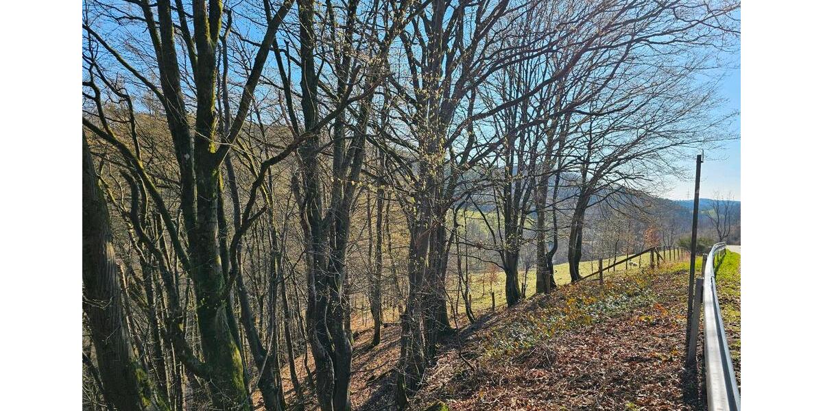 Grundstück Reichshof - 33.333&euro; | Angebot:25764344