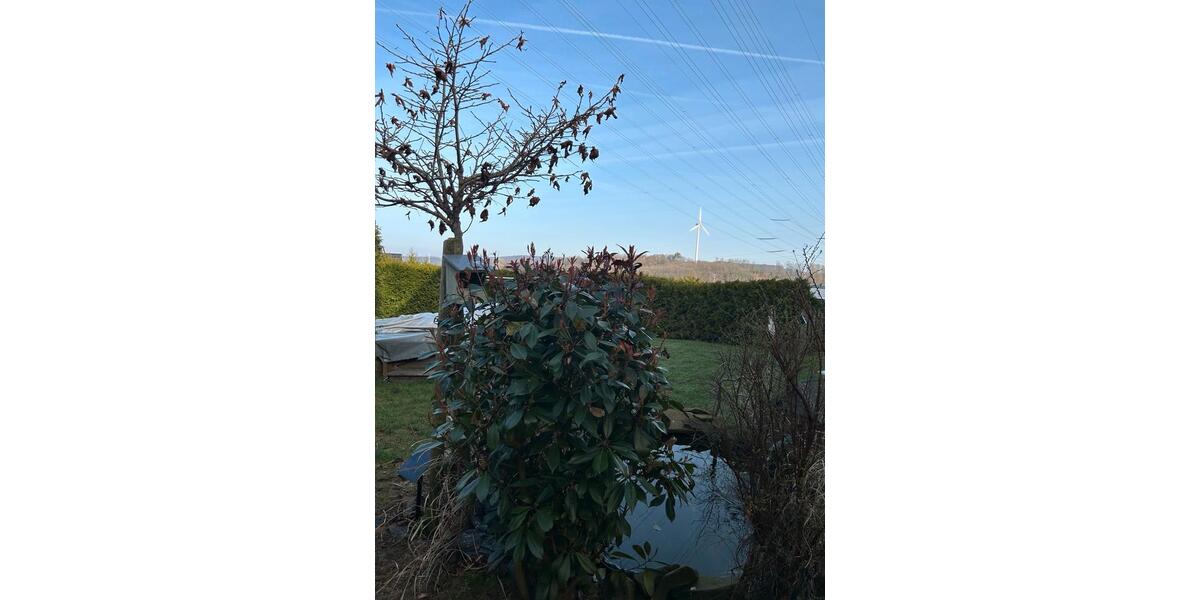 Einfamilienhaus Lüdenscheid Augustenthal - 5 Zimmer, 128 m&sup2;, 525.000&euro; | Angebot:25417634