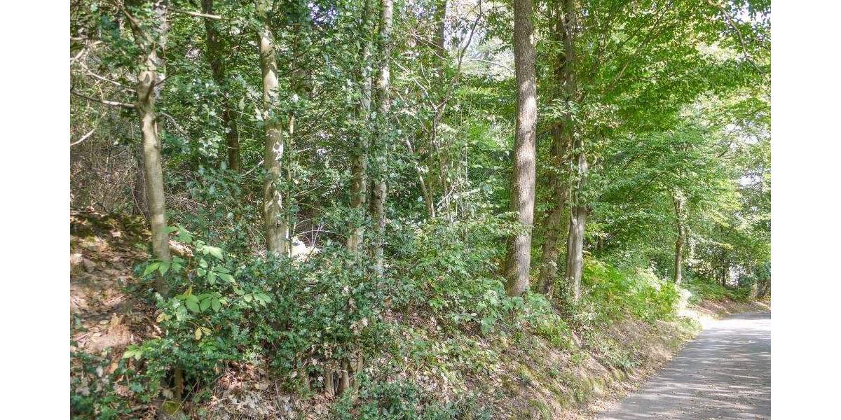 Grundstück Gummersbach - Wasserfuhr Wasserfuhr - 174.000&euro; | Angebot:25814026