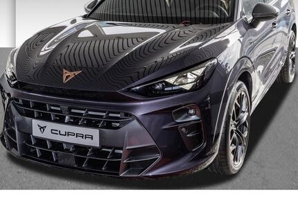 Cupra Terramar 19.999 km 49.888 &euro; Gevelsberg 58285