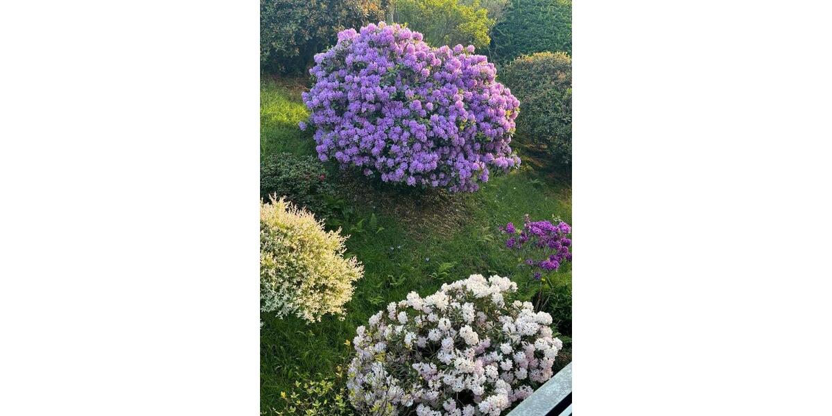 Etagenwohnung Altena - 3 Zimmer, 81 m&sup2;, 680&euro; | Angebot:25131721