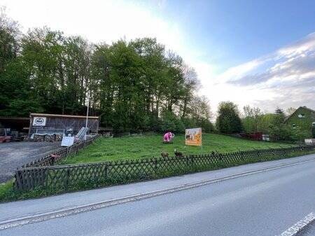 Grundstück Balve Sanssouci - 75.000&euro; | Angebot:25698668