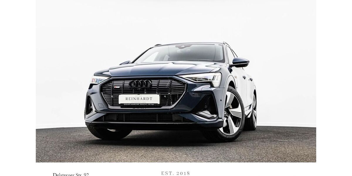 Audi e-tron 51.428 km 35.815 &euro; Hagen 58091