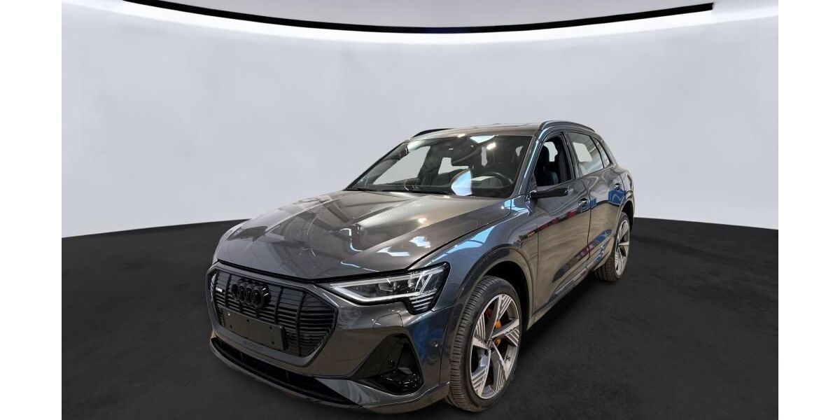 Audi e-tron 42.382 km 38.260 &euro; Hagen 58091