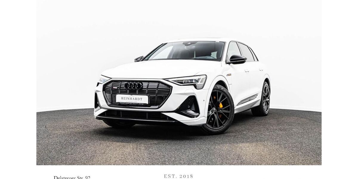 Audi e-tron 43.993 km 38.180 &euro; Hagen 58091