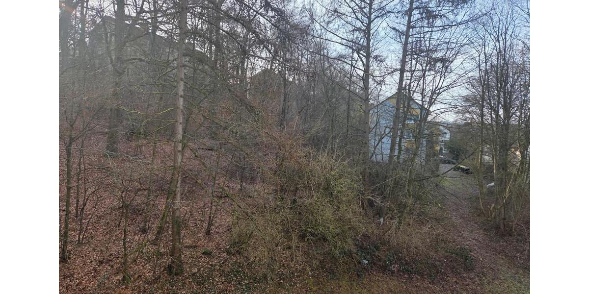 Etagenwohnung Werdohl - 2 Zimmer, 54 m&sup2;, 325&euro; | Angebot:24701007