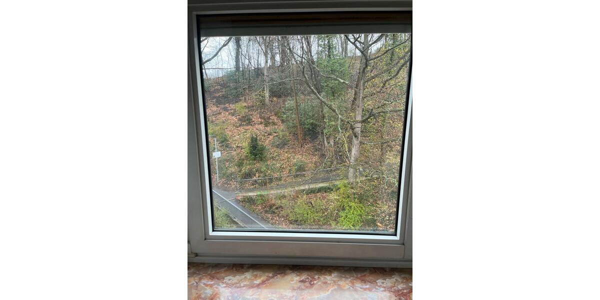 Etagenwohnung Iserlohn Grüne - 2 Zimmer, 52 m&sup2;, 420&euro; | Angebot:25935346