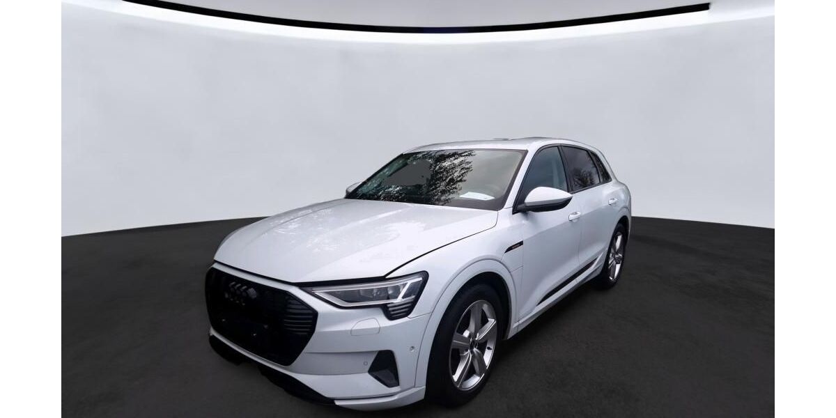 Audi e-tron 26.191 km 28.870 &euro; Hagen 58091