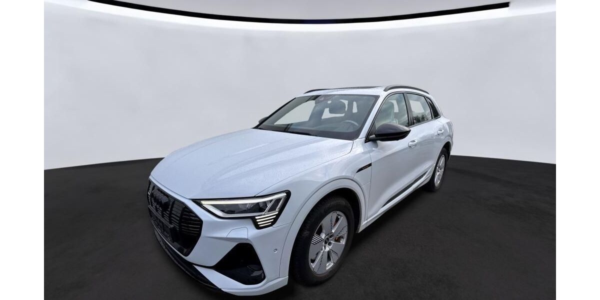 Audi e-tron 69.998 km 36.820 &euro; Hagen 58091