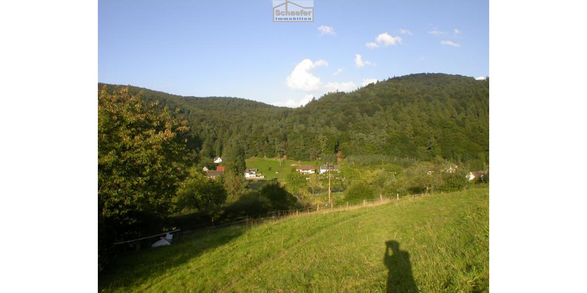 Historisches Anwesen mit Wald, Weiden und einzigartiger Aussichtslage - Mehrfamilienhaus, Wohnhaus Iserlohn Grüne | Angebot:26838436