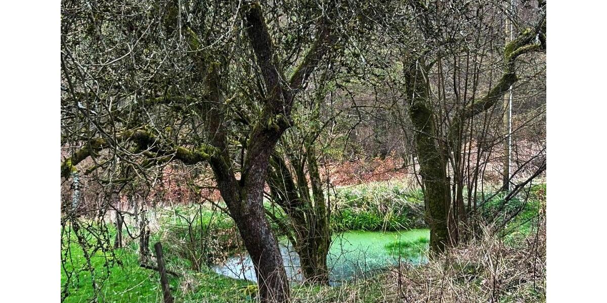 Doppelhaushälfte Herscheid - 249.000&euro; | Angebot:25953335