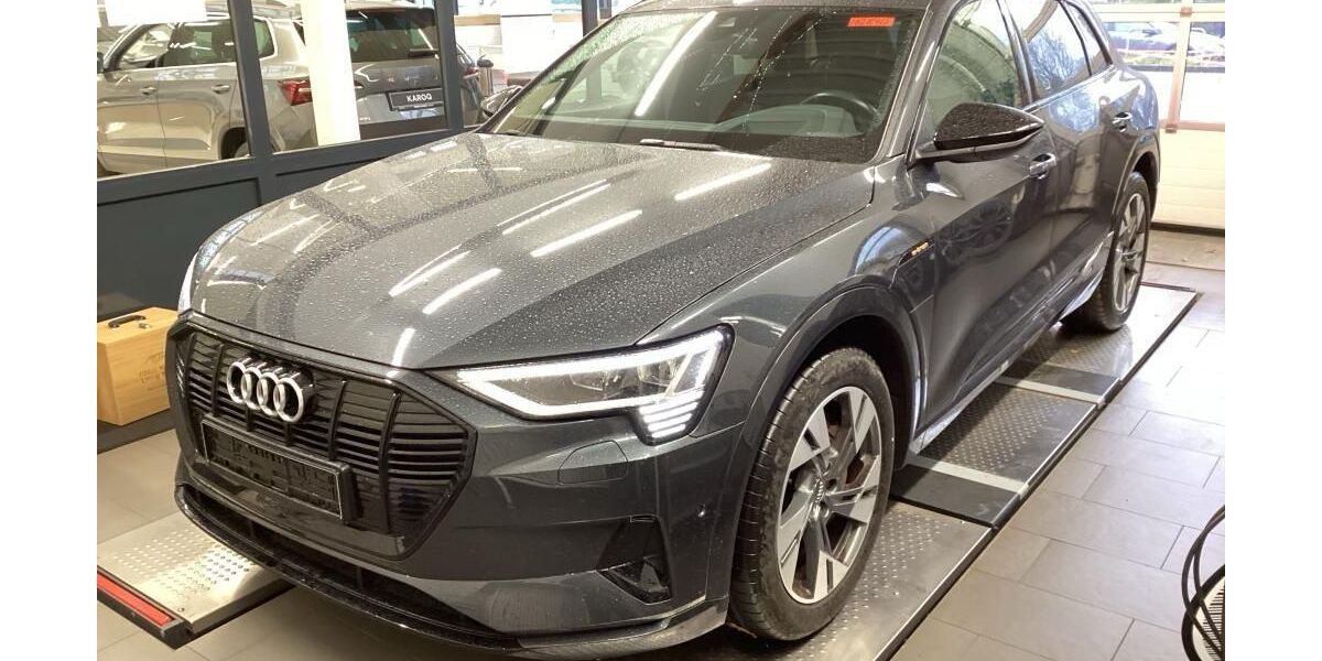 Audi e-tron 73.621 km 31.800 &euro; Hagen 58091