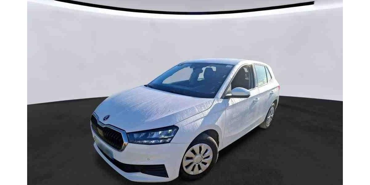 Skoda Fabia 47.368 km 11.060 &euro; Hagen 58091