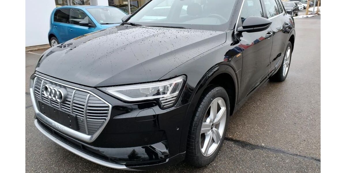 Audi e-tron 22.068 km 30.919 &euro; Hagen 58091