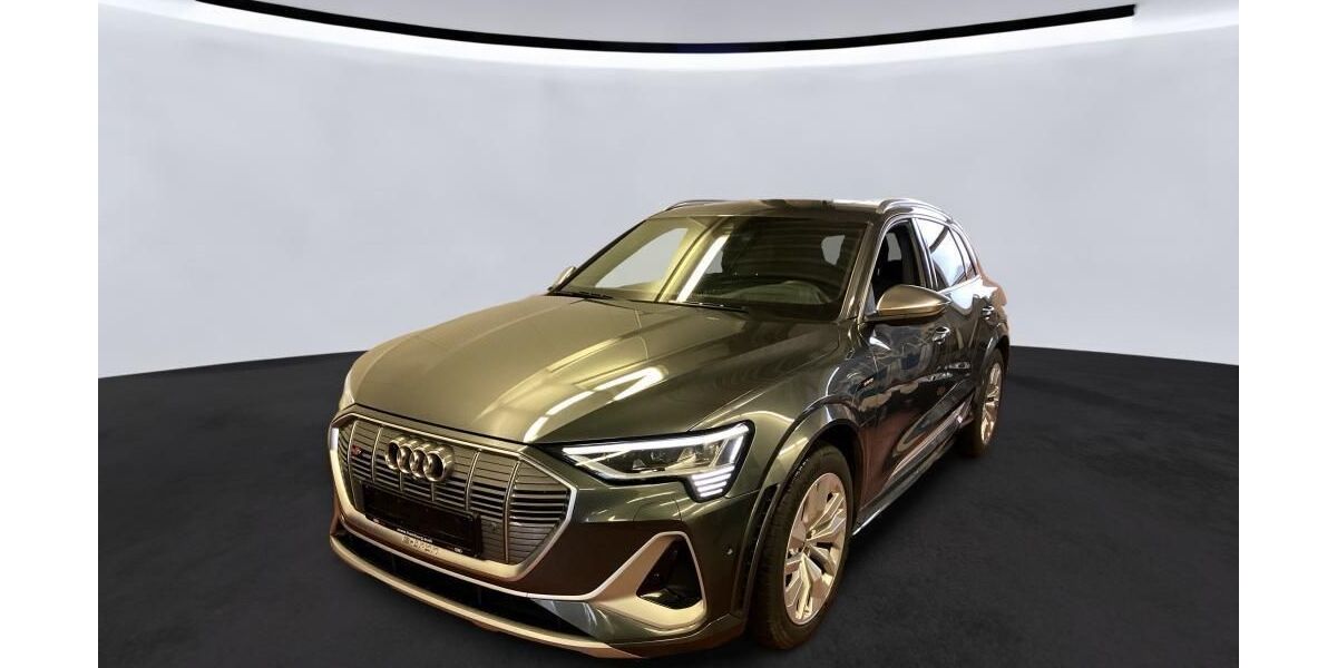 Audi e-tron 55.827 km 41.840 &euro; Hagen 58091