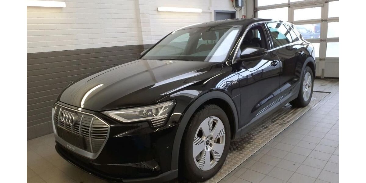 Audi e-tron 32.226 km 27.879 &euro; Hagen 58091