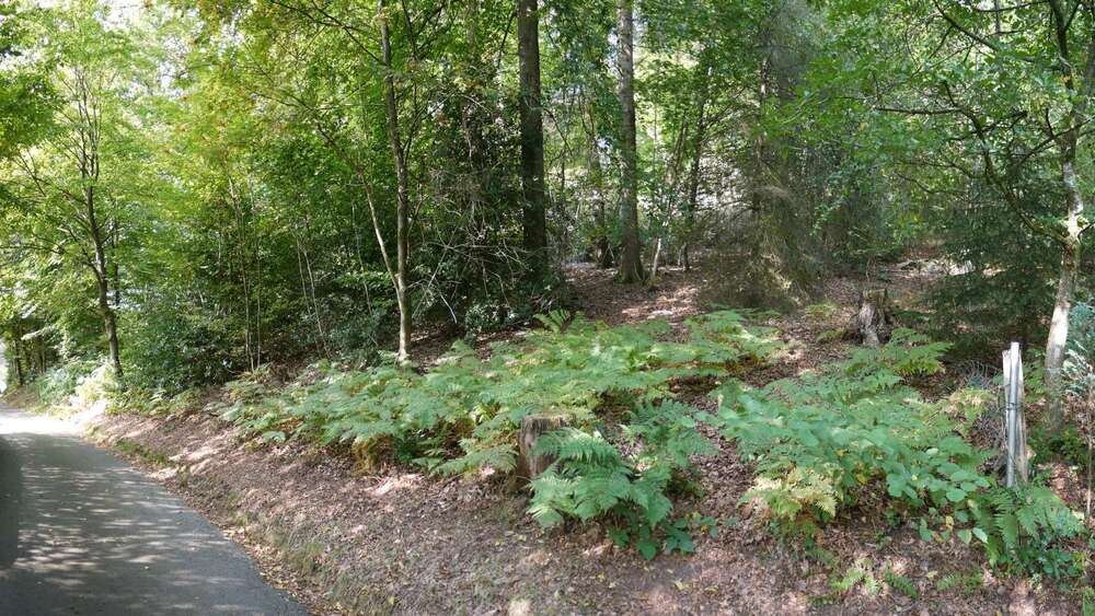 Grundstück Gummersbach - Wasserfuhr Wasserfuhr - 158.500&euro; | Angebot:23227732