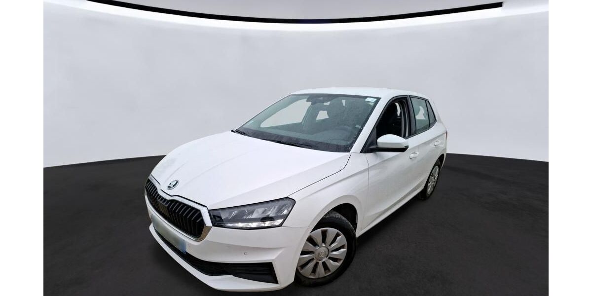 Skoda Fabia 49.056 km 11.470 &euro; Hagen 58091