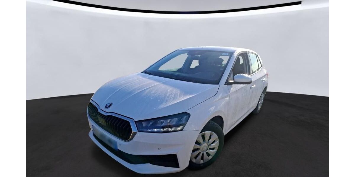 Skoda Fabia 41.820 km 11.060 &euro; Hagen 58091