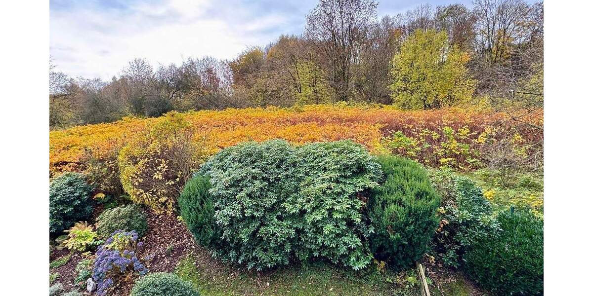 Etagenwohnung Lüdenscheid - 2 Zimmer, 55 m&sup2;, 61.000&euro; | Angebot:25778983