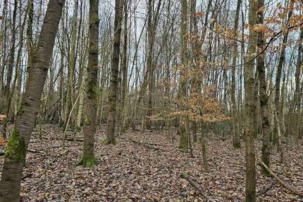 Grundstück Hagen Hagen-Mitte - 97.944&euro; | Angebot:14647236