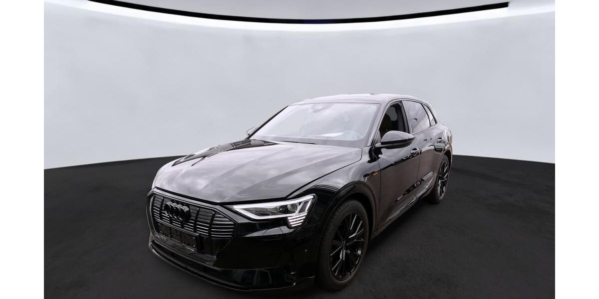 Audi e-tron 32.893 km 31.890 &euro; Hagen 58091