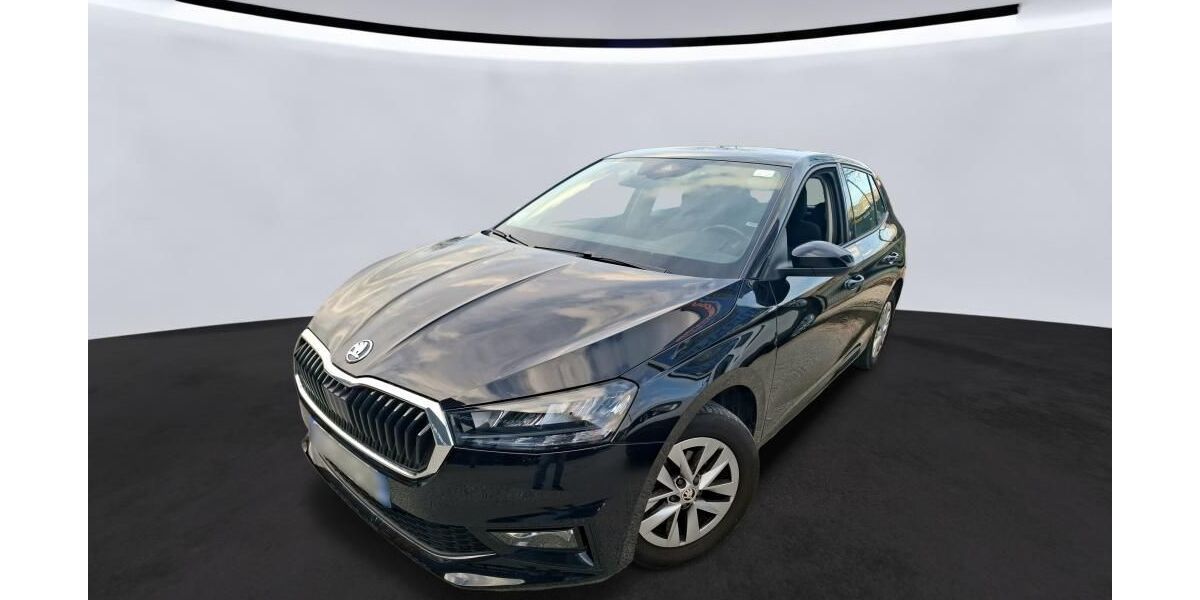 Skoda Fabia 60.920 km 14.879 &euro; Hagen 58091