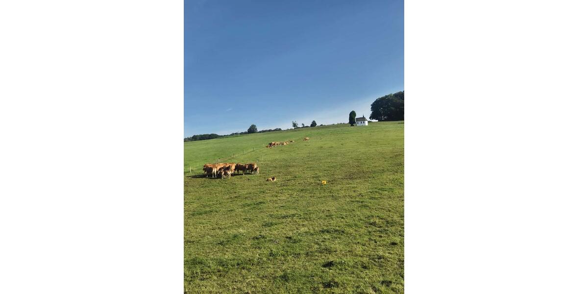 Erdgeschoßwohnung Lindlar - 3 Zimmer, 91 m&sup2;, 800&euro; | Angebot:25884314