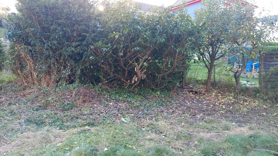 Etagenwohnung Werdohl - 3 Zimmer, 80 m&sup2;, 850&euro; | Angebot:26359722