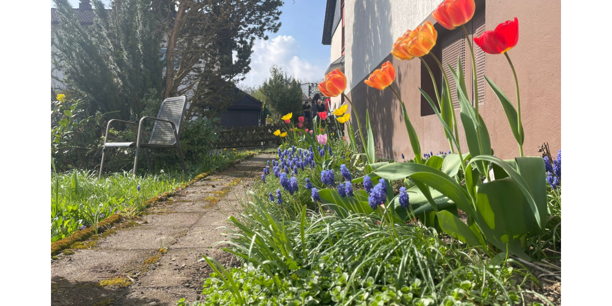 Mehrfamilienhaus, Wohnhaus Balve - 6 Zimmer, 134 m&sup2;, 218.500&euro; | Angebot:25745762