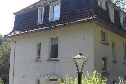 Wohnung Lüdenscheid Brügge - 2 Zimmer, 55 m&sup2;, 390&euro; | Angebot:26797968