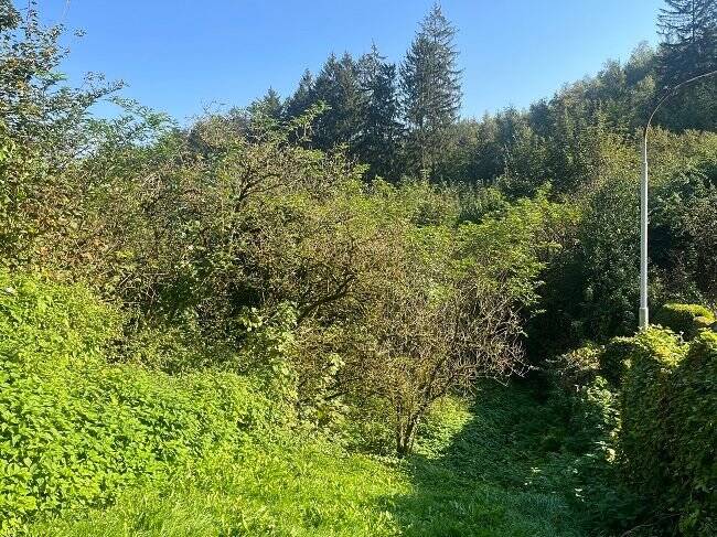 Grundstück Werdohl - 220.000&euro; | Angebot:25660783