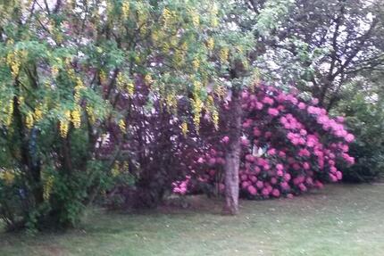 Wohnung Wipperfürth - 3 Zimmer, 80 m&sup2;, 640&euro; | Angebot:25924161