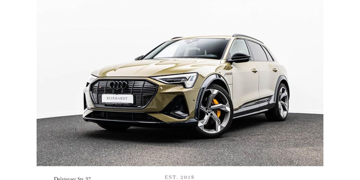 Audi e-tron 42.219 km 47.859 &euro; Hagen 58091
