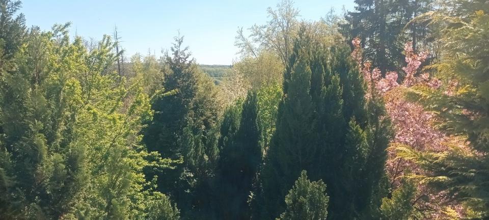 Erdgeschoßwohnung Lüdenscheid Brügge - 4.5 Zimmer, 106 m&sup2;, 900&euro; | Angebot:26512699