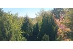 Erdgeschoßwohnung Lüdenscheid Brügge - 4.5 Zimmer, 106 m&sup2;, 900&euro; | Angebot:26512699