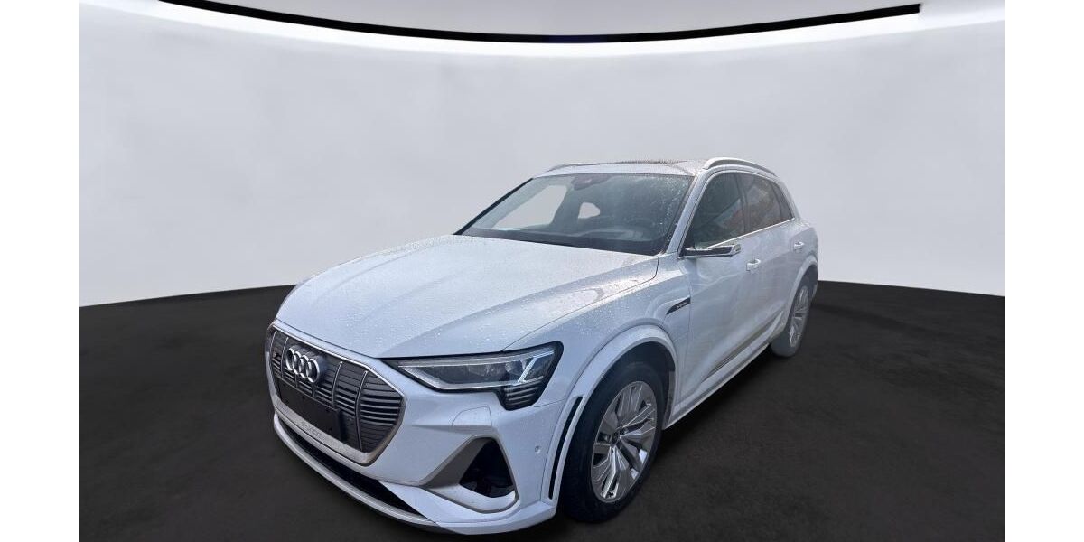 Audi e-tron 81.847 km 37.946 &euro; Hagen 58091