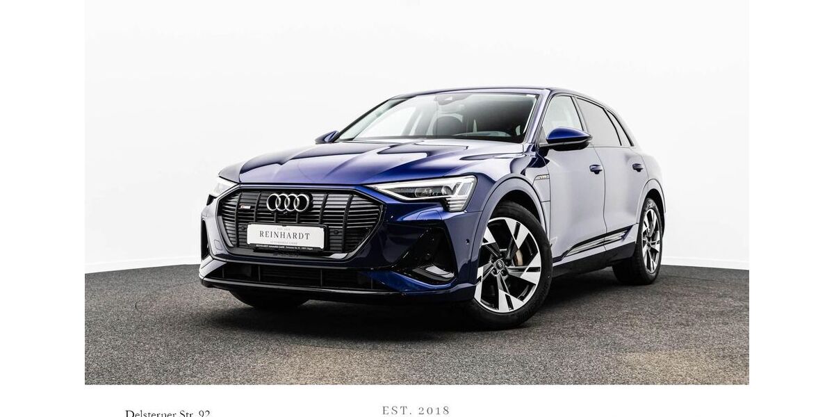 Audi e-tron 59.998 km 29.985 &euro; Hagen 58091