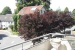 Etagenwohnung Lüdenscheid Othlinghausen - 4 Zimmer, 122 m&sup2;, 335.000&euro; | Angebot:26732431