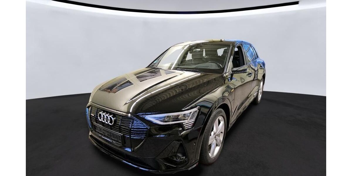 Audi e-tron 75.631 km 34.510 &euro; Hagen 58091