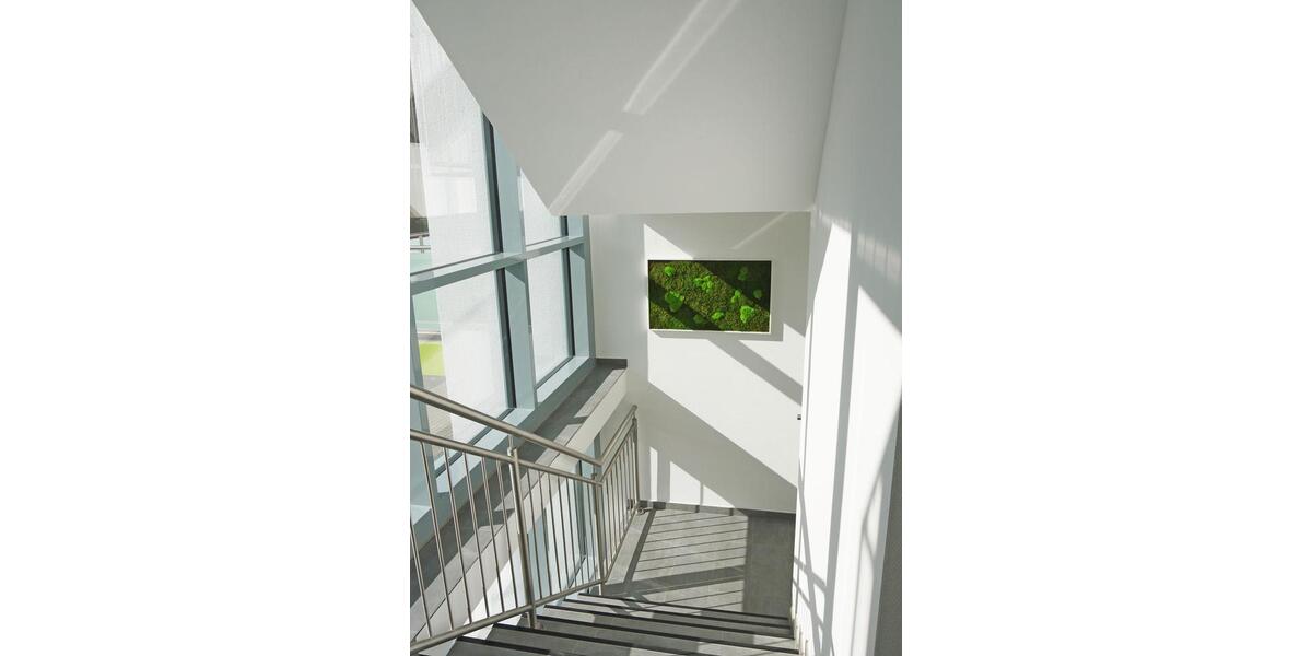 Etagenwohnung Gummersbach - 1 Zimmer, 29 m&sup2;, 363&euro; | Angebot:25920236