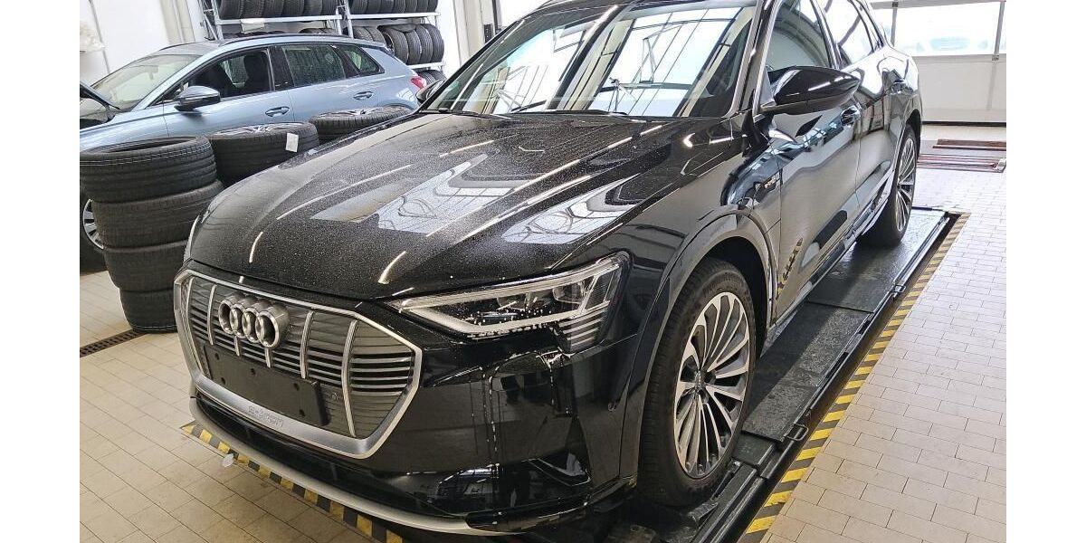 Audi e-tron 33.536 km 32.746 &euro; Hagen 58091