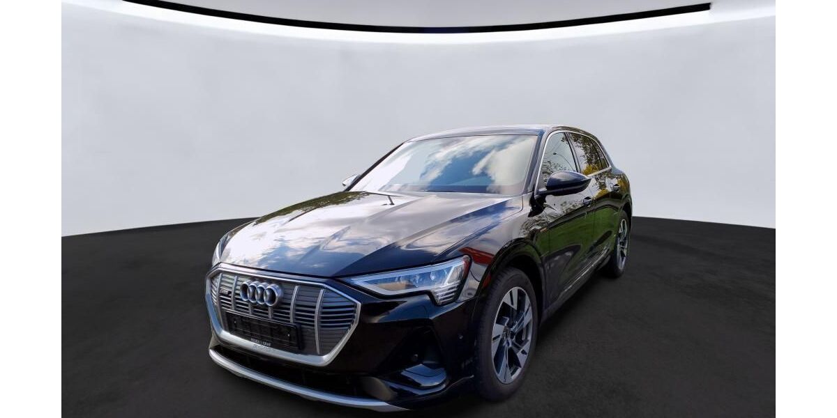Audi e-tron 48.577 km 30.620 &euro; Hagen 58091