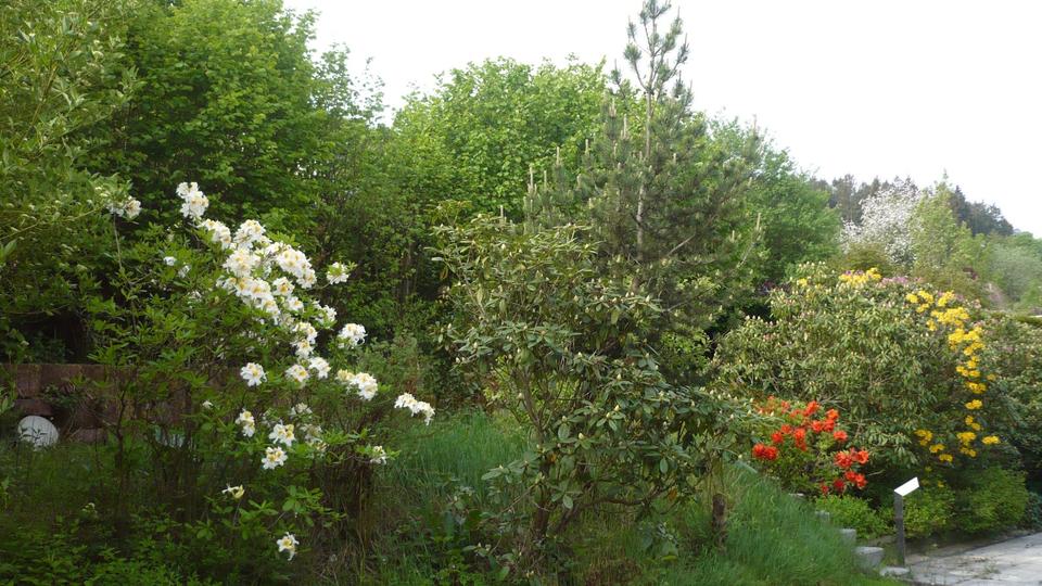 Einfamilienhaus Reichshof - 6 Zimmer, 263 m&sup2;, 549.000&euro; | Angebot:9944238