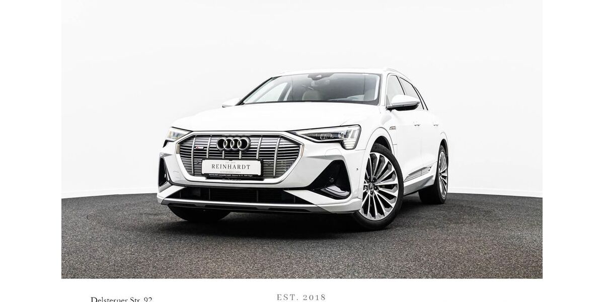 Audi e-tron 69.917 km 31.765 &euro; Hagen 58091