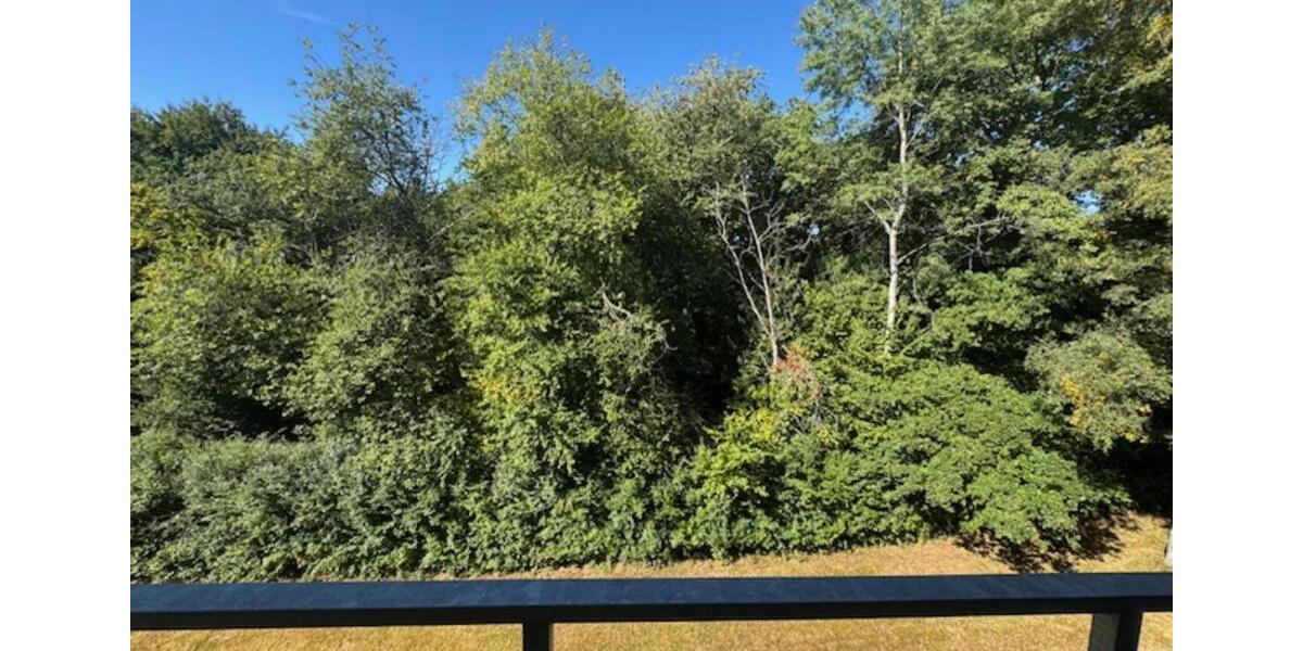 Etagenwohnung Plettenberg - 3 Zimmer, 72 m&sup2;, 500&euro; | Angebot:25920247