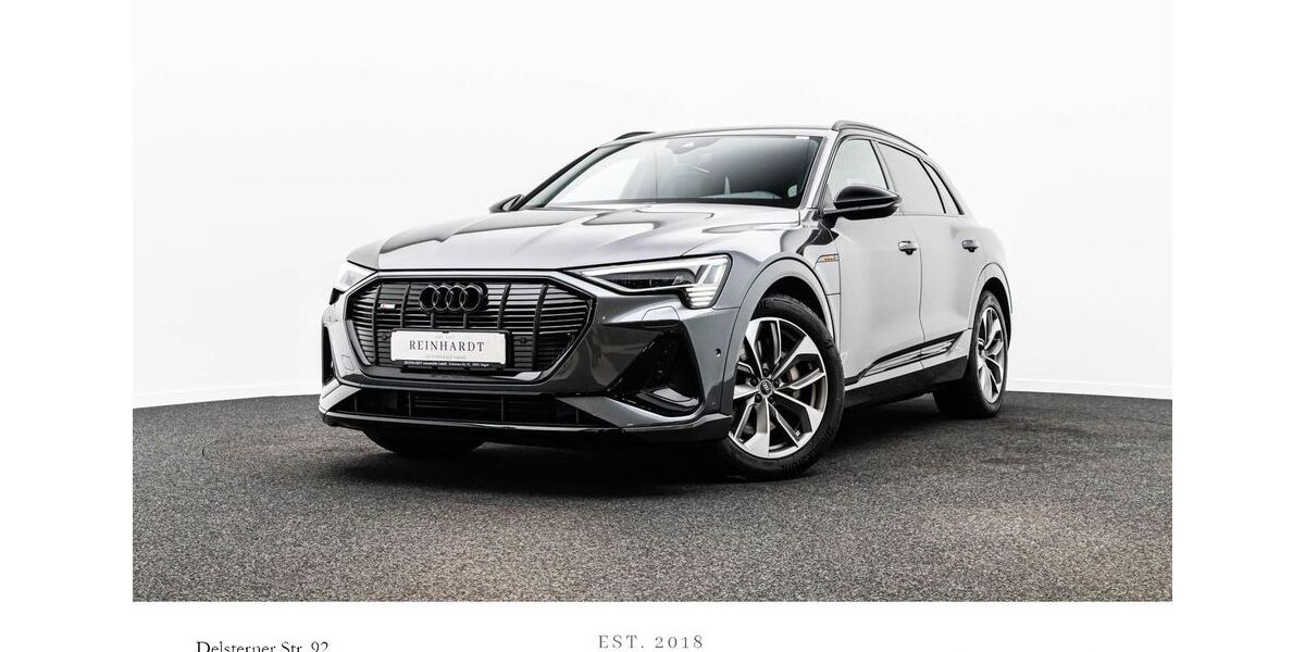 Audi e-tron 41.352 km 34.885 &euro; Hagen 58091