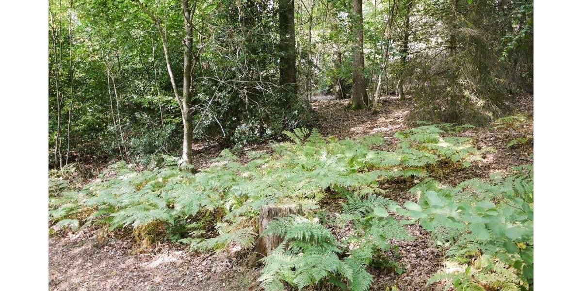 Grundstück Gummersbach - Wasserfuhr Wasserfuhr - 174.000&euro; | Angebot:25814026