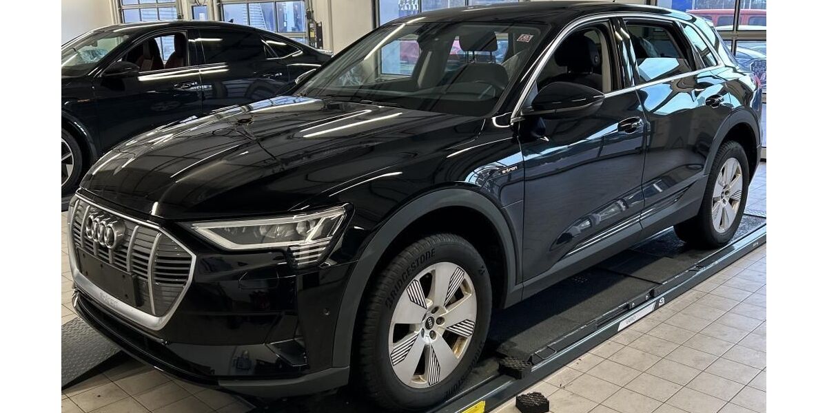 Audi e-tron 54.252 km 25.574 &euro; Hagen 58091